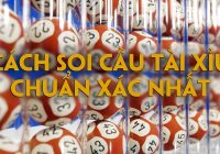 cách soi cầu tài xỉu chuẩn xác nhất