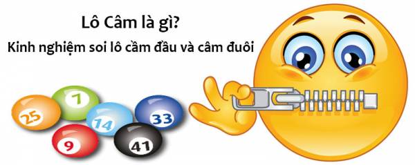 Lô câm đầu và lô câm đít là gì? Lô câm đầu và lô câm đít là gì?