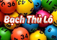 Bạch thủ lô